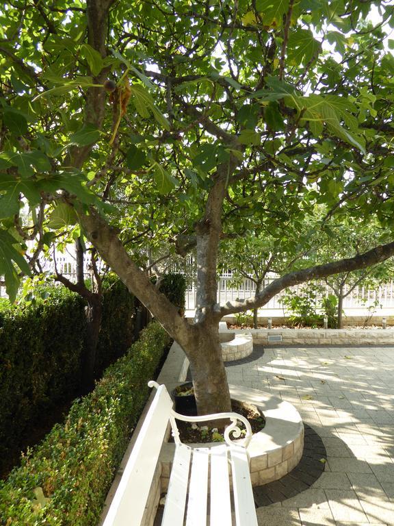 Apartments Bojanic Vodice Extérieur photo